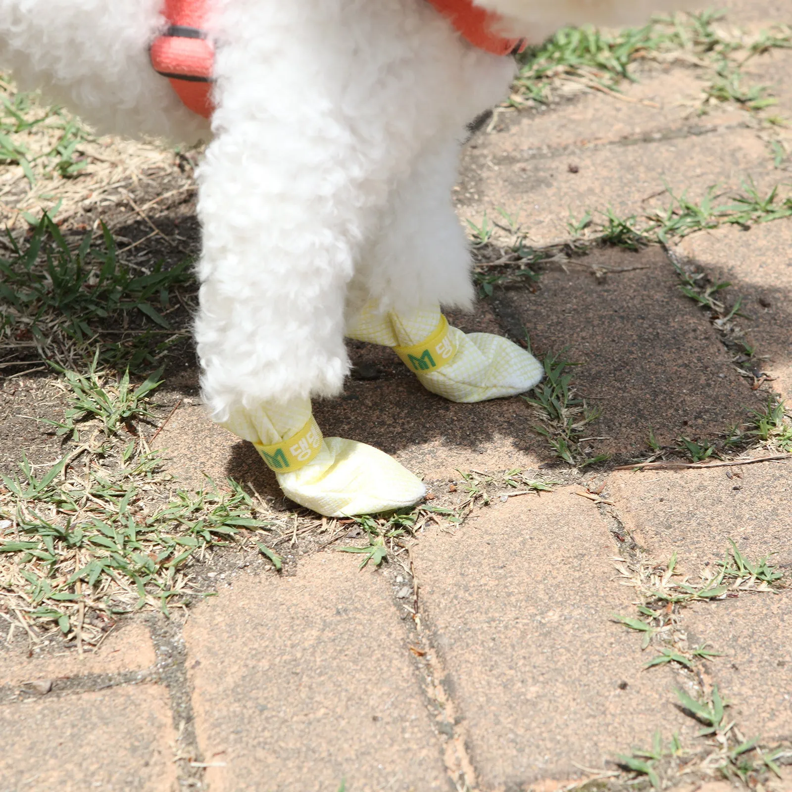 28pc Waterproof Anti-Slip Dog Shoes Yellow M | Daeng Daeng