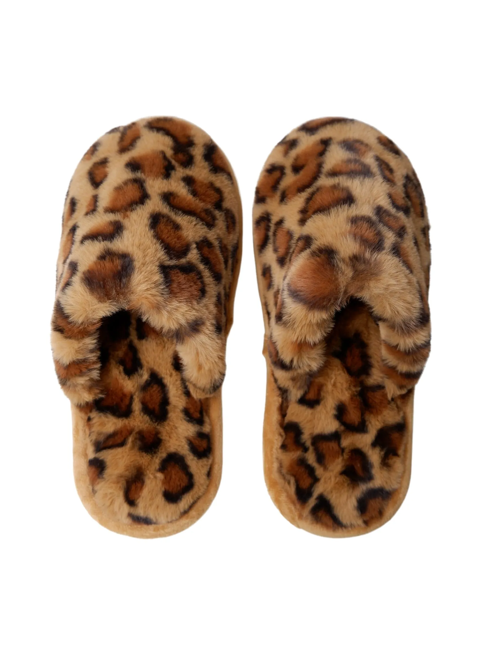 BCLEO slippers - Leo