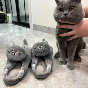 Begging Cat Slippers