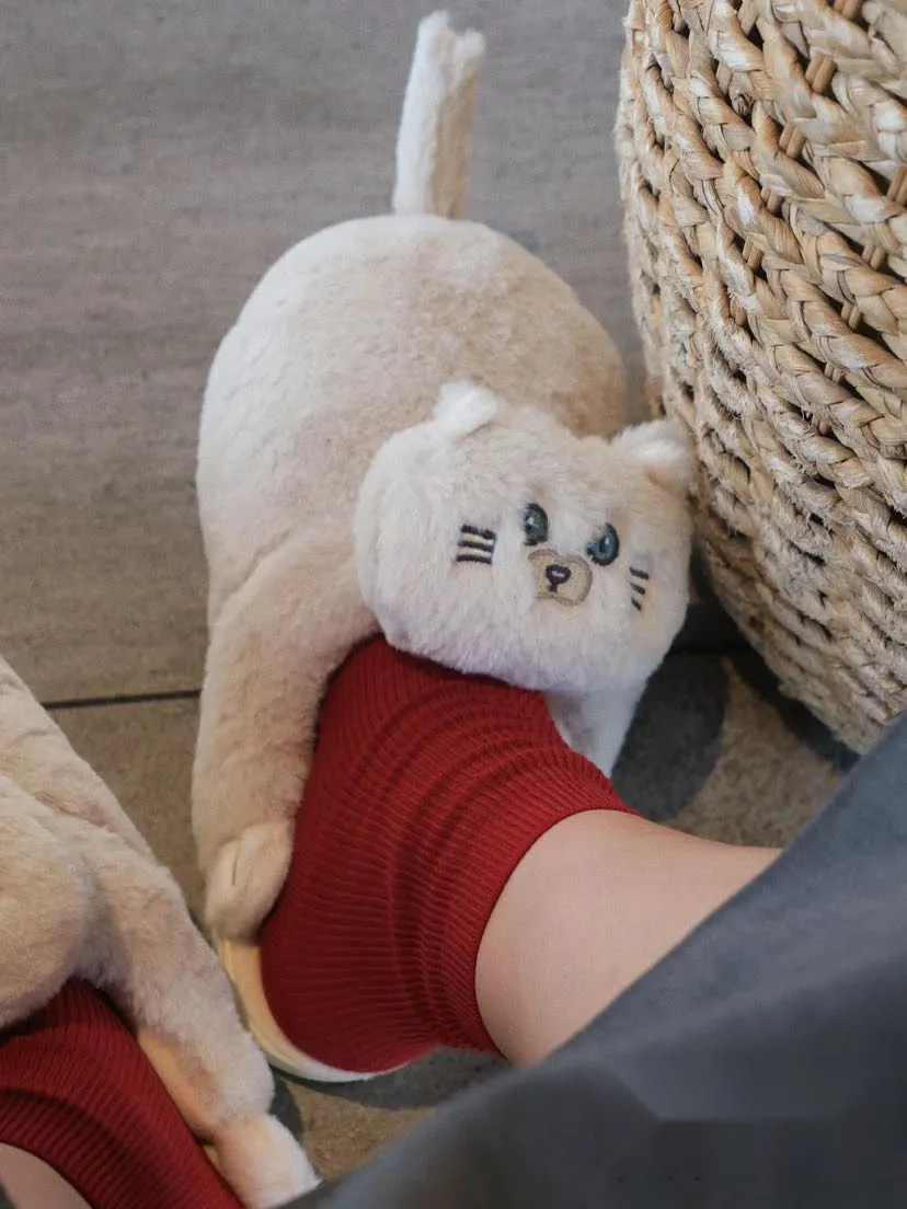 Begging Cat Slippers