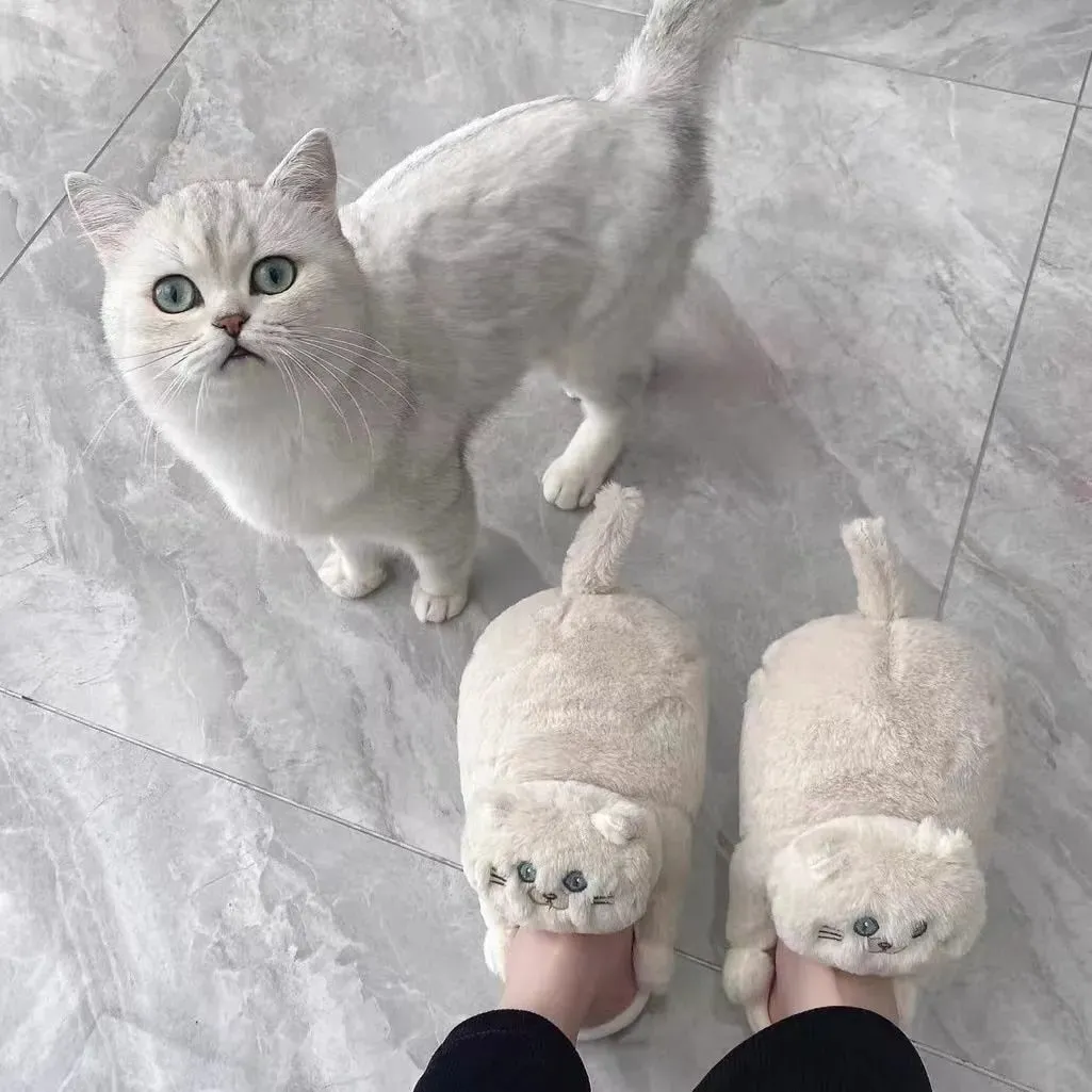 Begging Cat Slippers