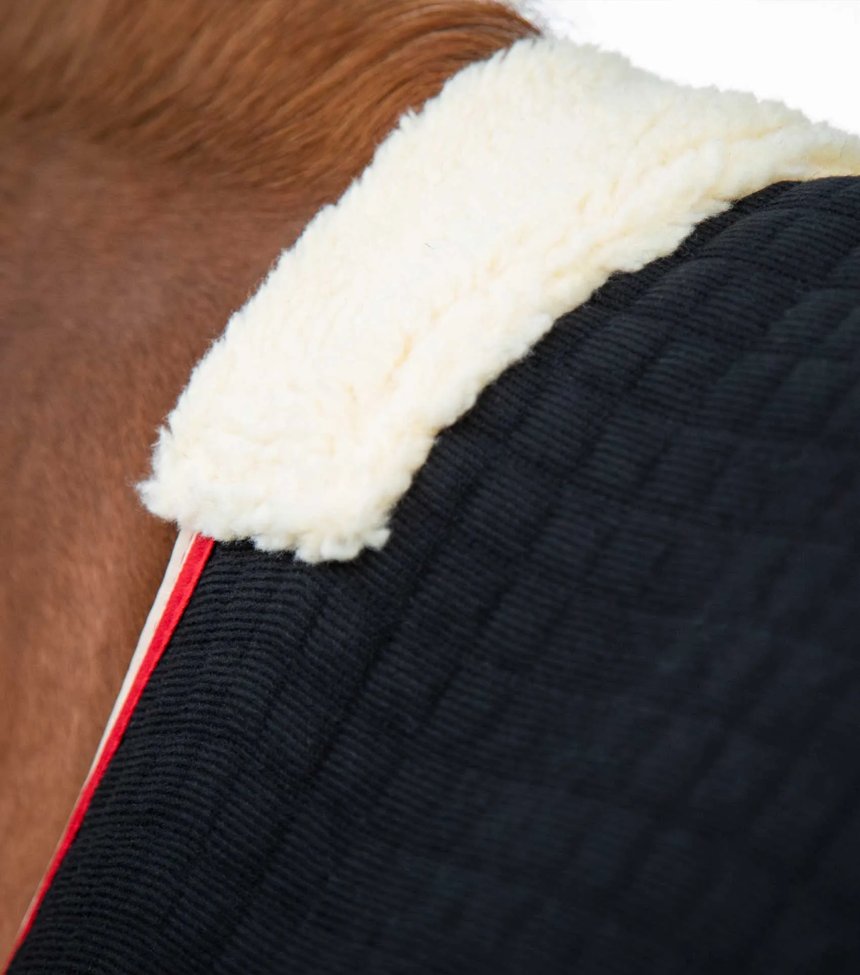 PremTex Horse Cooler Rug Black