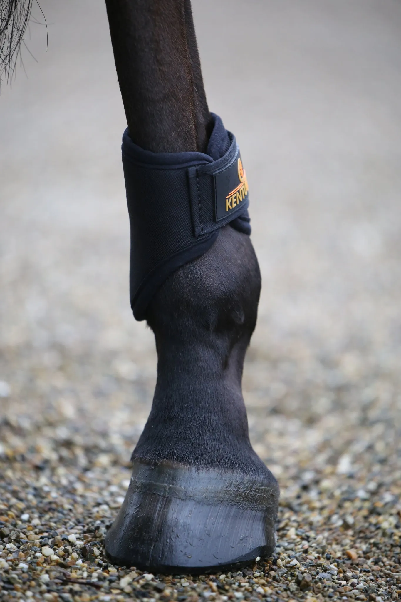 Turnout Boots 3D Spacer Hind